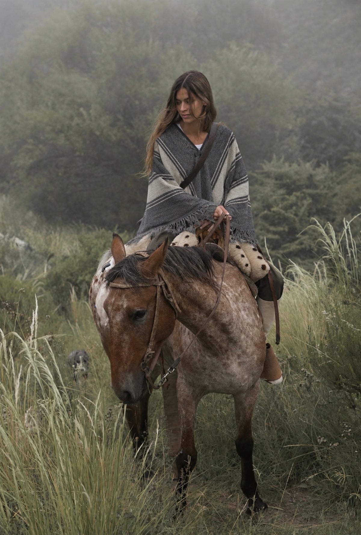 Poncho pino